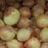Spanish Onion